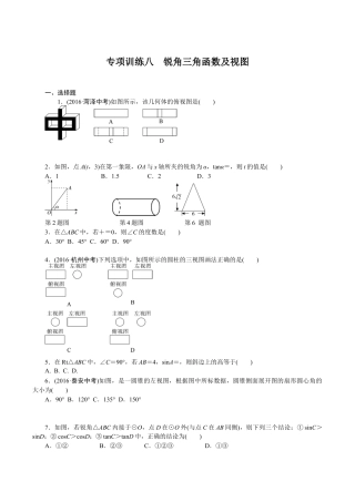 人教版数学九年级下册专项训练八　锐角三角函数及视图.doc