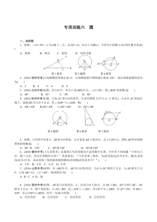 人教版数学九年级下册专项训练六　圆.doc