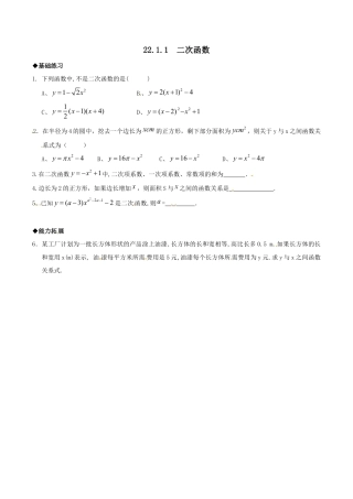 人教版数学九年级上册22.1.1 二次函数2.doc