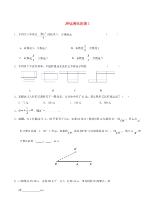 人教版数学七年级上册-培优强化训练1 新人教版.doc