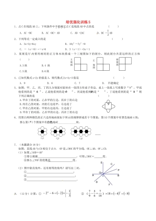 人教版数学七年级上册-培优强化训练5 新人教版.doc