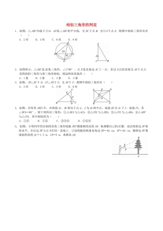 人教版数学九年级下册27.2.1 相似三角形的判定同步练习2 新人教版.doc