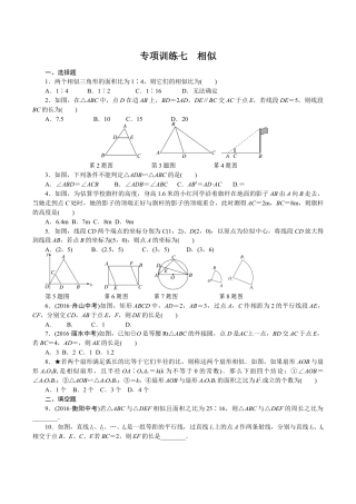 人教版数学九年级下册专项训练七　相似.doc