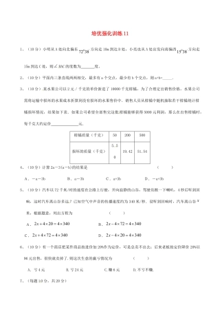 人教版数学七年级上册-培优强化训练11 新人教版.doc