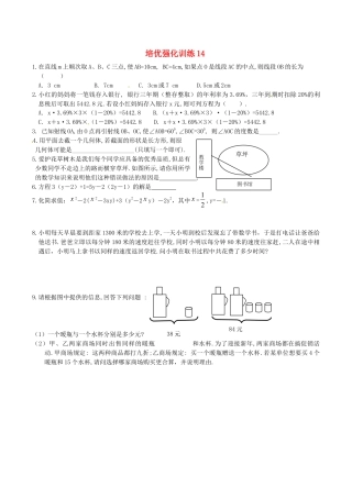 人教版数学七年级上册-培优强化训练14 新人教版.doc