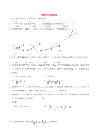 人教版数学七年级上册-培优强化训练16 新人教版.doc
