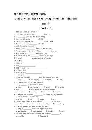 【人教版】英语八年级下册：Unit 5 What were you doing … Section B 优化训练.doc