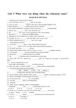 【人教版】英语八年级下册：Unit 5 What were you doing when…Section B 课课通.doc