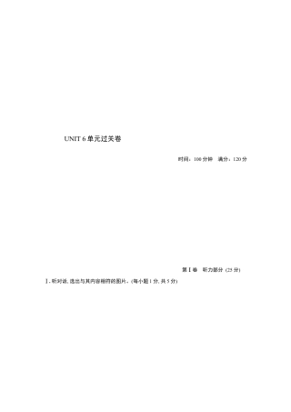 人教版初三英语九年级-UNIT 6 单元过关卷.doc