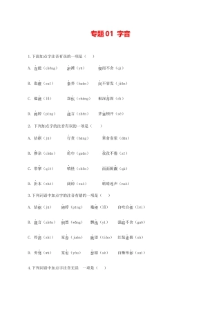 语文九年级上册 01：字音.docx