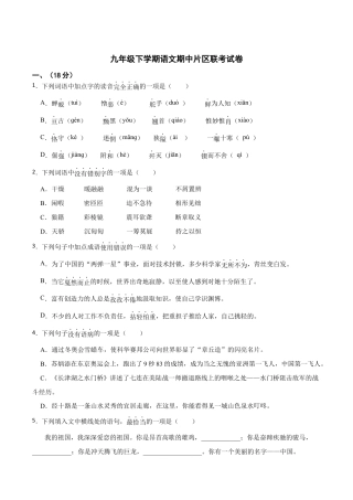 语文九年级下册 6.期中片区联考语文试卷.docx