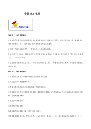 人教版初三物理-专题16.1 电压（解析版）.docx