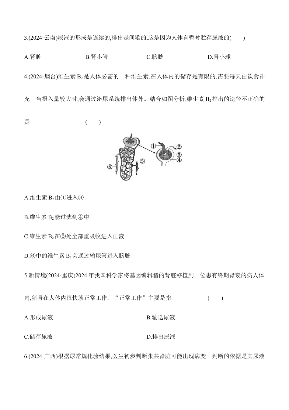 第13讲 人体内废物的排出 2026年会考生物学专题练习(含答案).docx_第2页