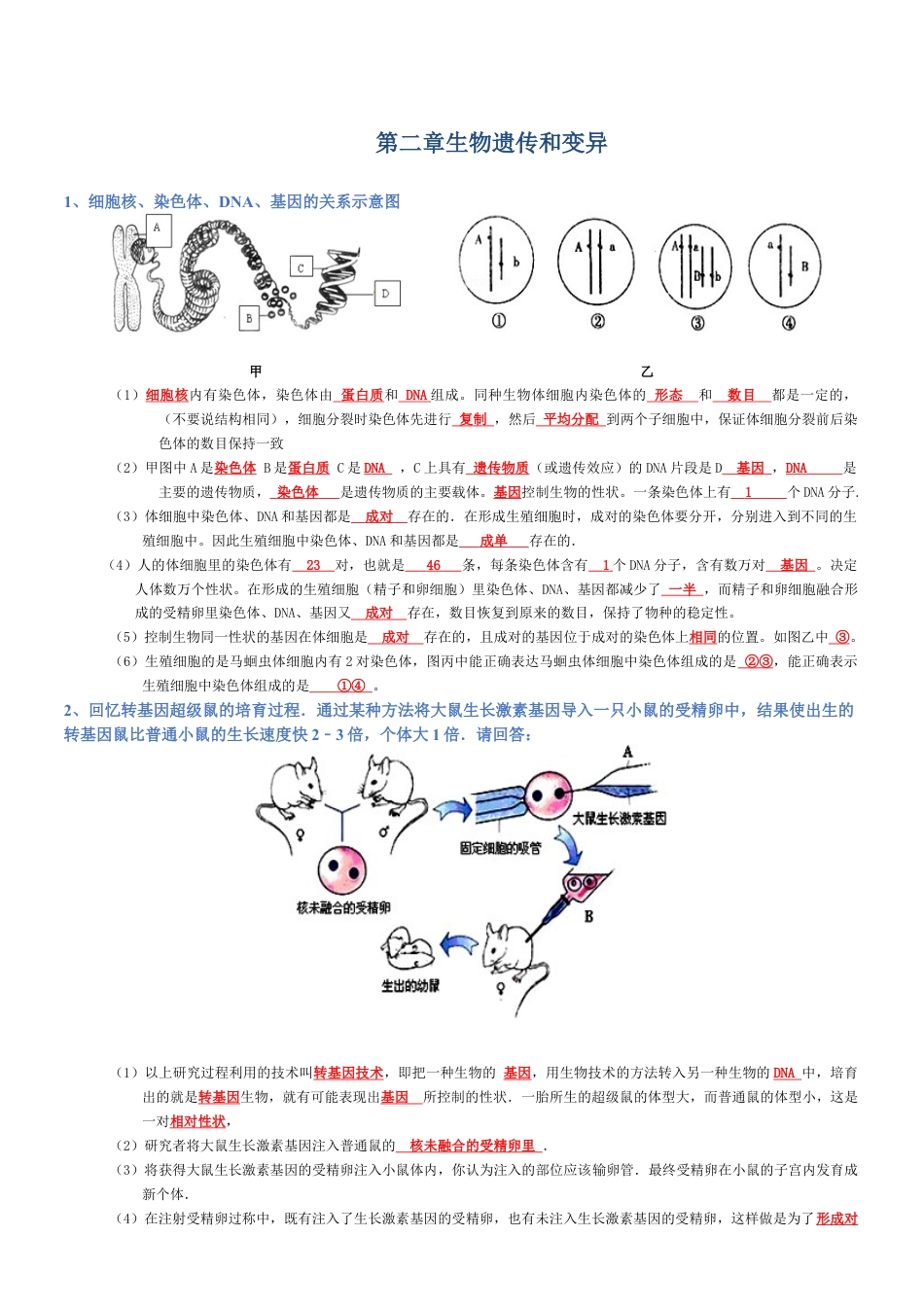 2026年生物会考知识梳理-专题07 生物圈中生命的延续和发展(背诵版).docx_第3页