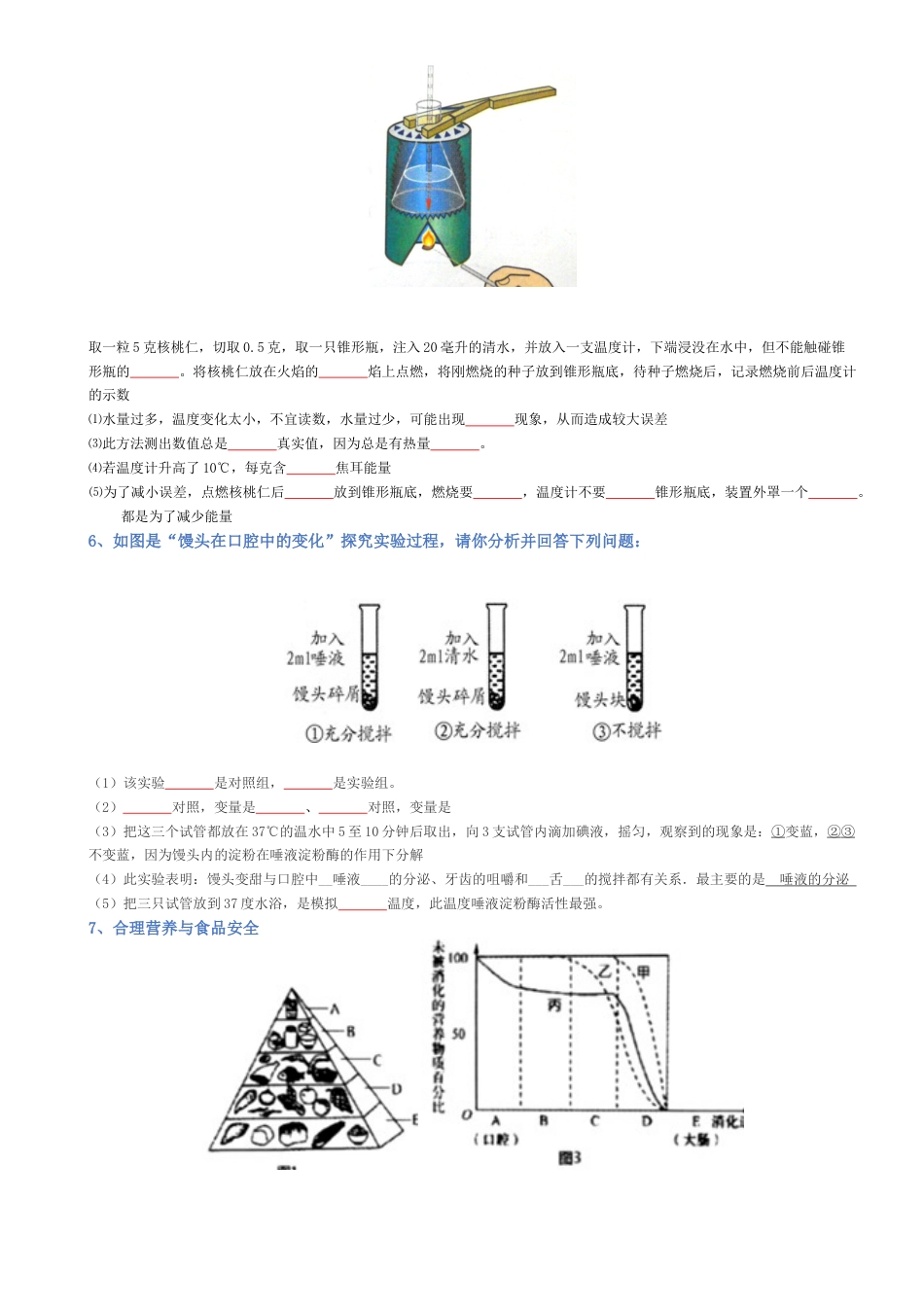 2026年生物会考知识梳理-专题04 生物圈中的人(填空版).docx_第3页