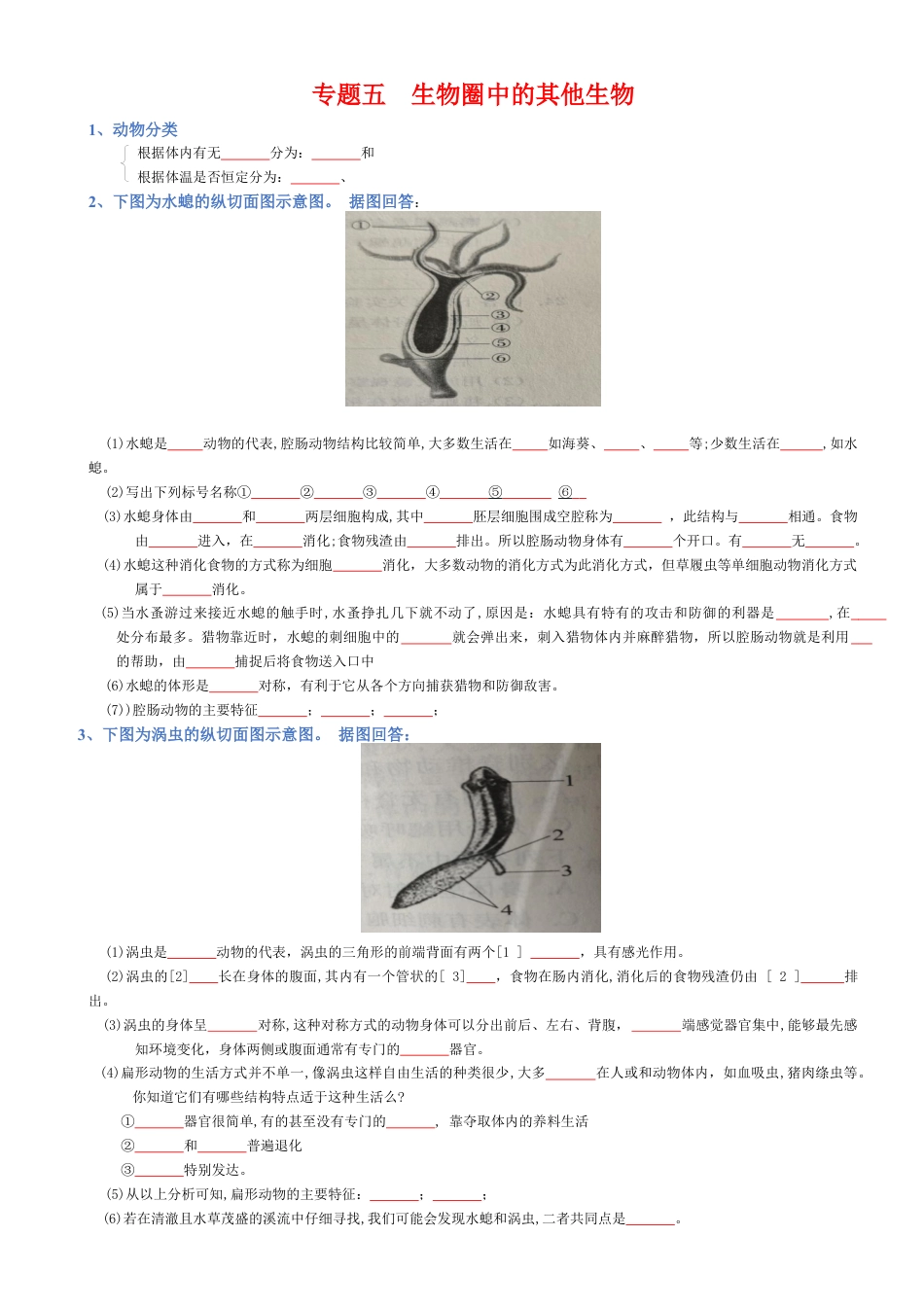 2026年生物会考知识梳理-专题05 生物圈中的其他生物(填空版).docx_第1页