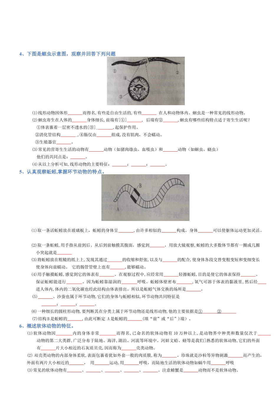 2026年生物会考知识梳理-专题05 生物圈中的其他生物(填空版).docx_第2页