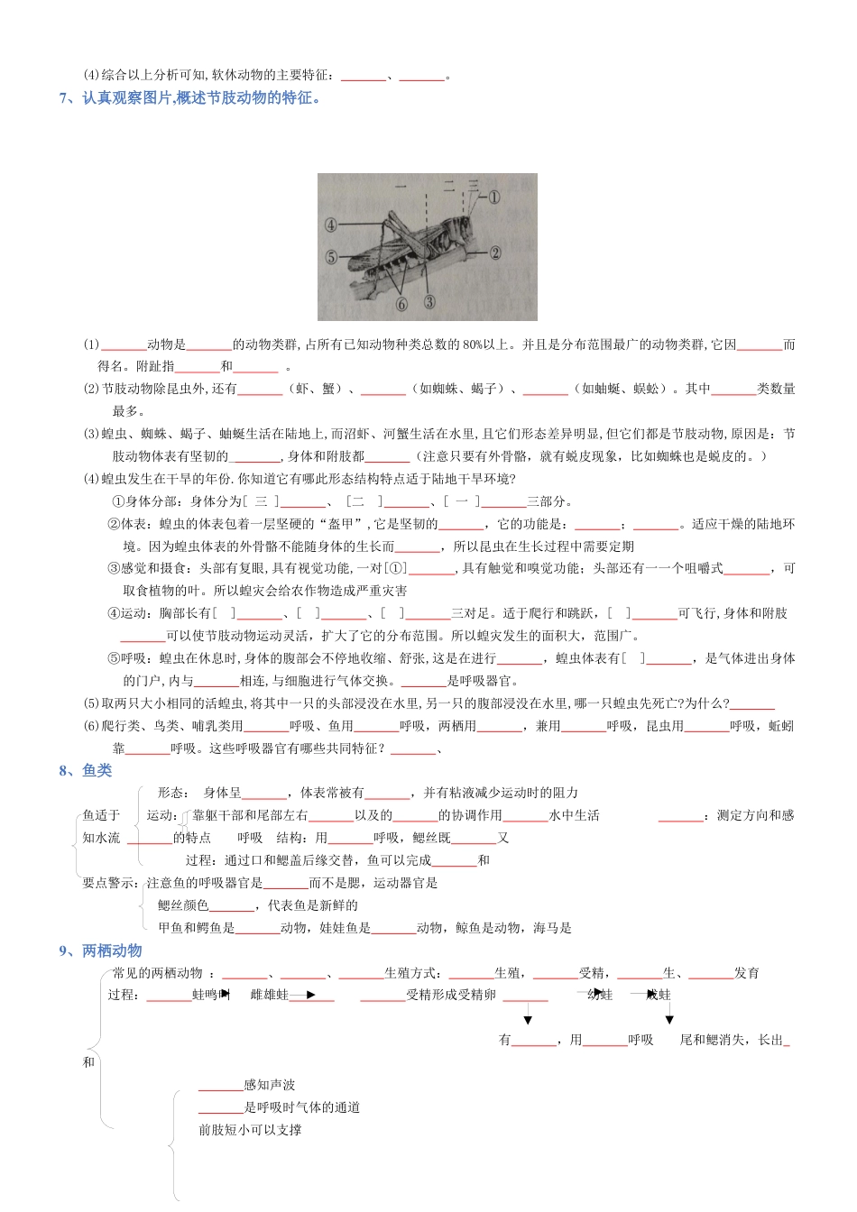 2026年生物会考知识梳理-专题05 生物圈中的其他生物(填空版).docx_第3页