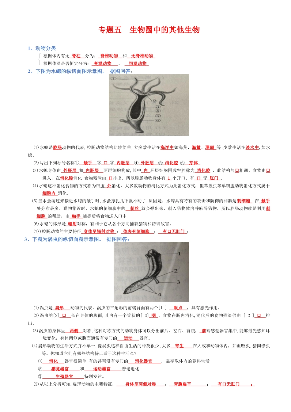 2026年生物会考知识梳理-专题05 生物圈中的其他生物(背诵版).docx_第1页