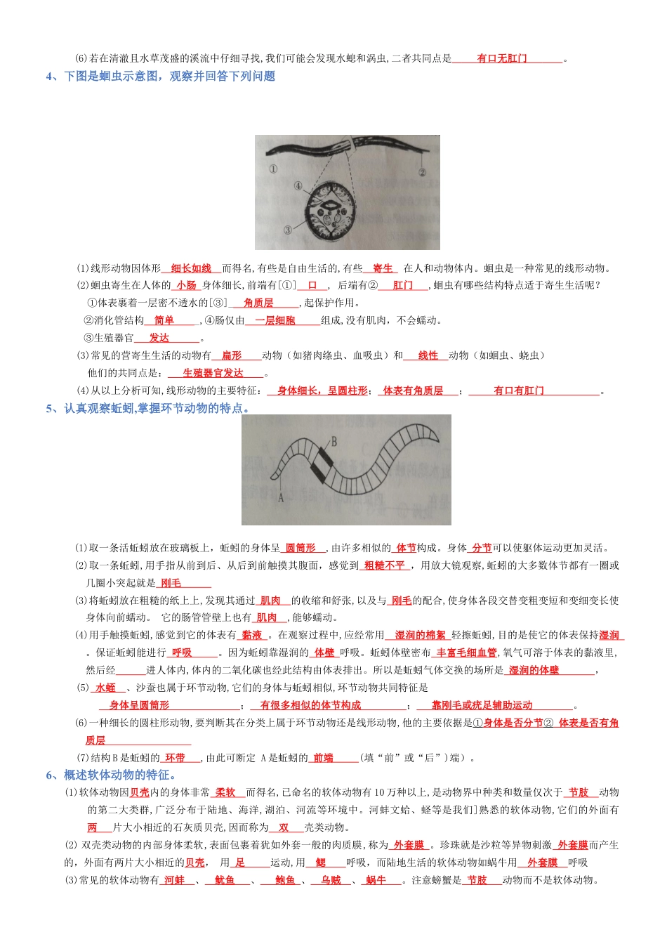 2026年生物会考知识梳理-专题05 生物圈中的其他生物(背诵版).docx_第2页