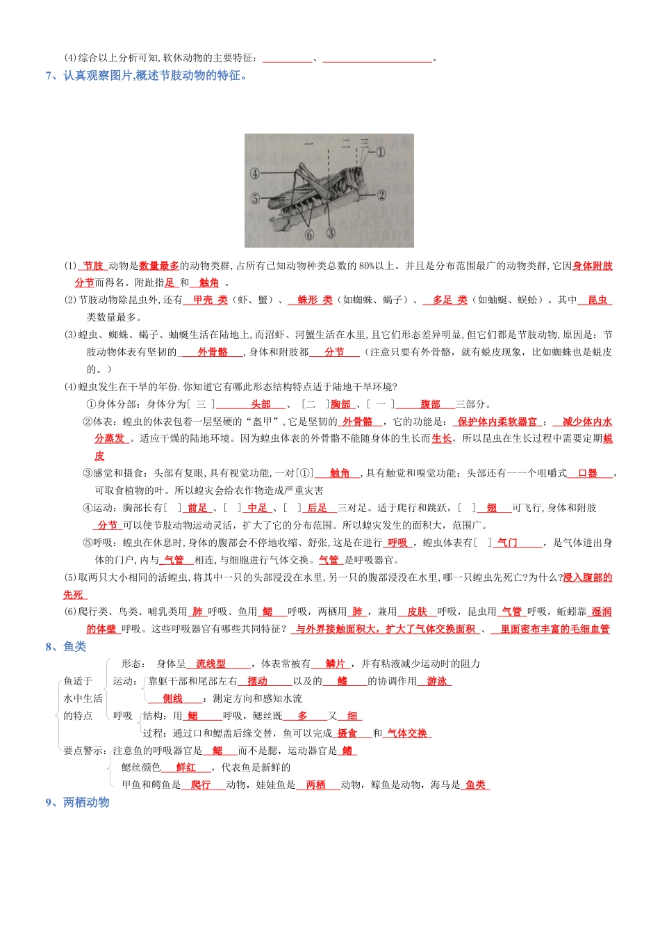 2026年生物会考知识梳理-专题05 生物圈中的其他生物(背诵版).docx_第3页