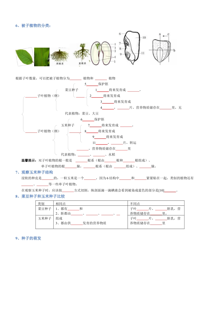 2026年生物会考知识梳理-专题03 生物圈中的绿色植物(填空版).docx_第2页