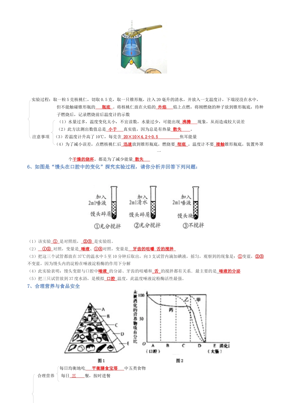 2026年生物会考知识梳理-专题04 生物圈中的人(背诵版).docx_第3页
