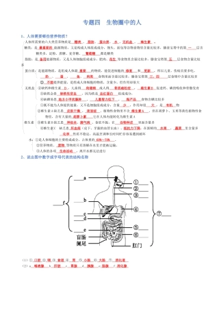 2026年生物会考知识梳理-专题04 生物圈中的人（背诵版）.docx