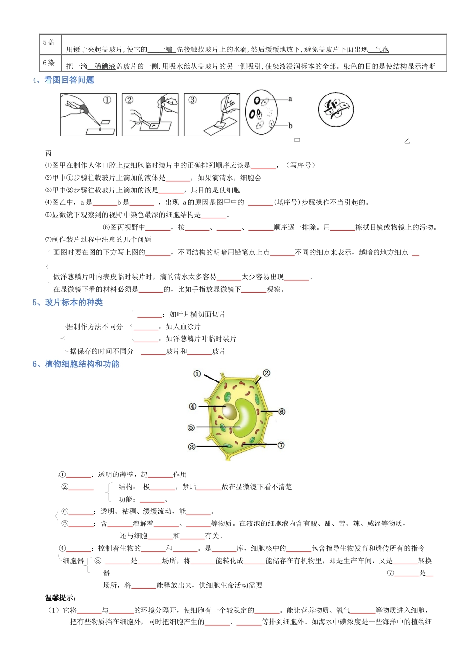 2026年生物会考知识梳理-专题02 生物体的结构层次(填空版).docx_第2页