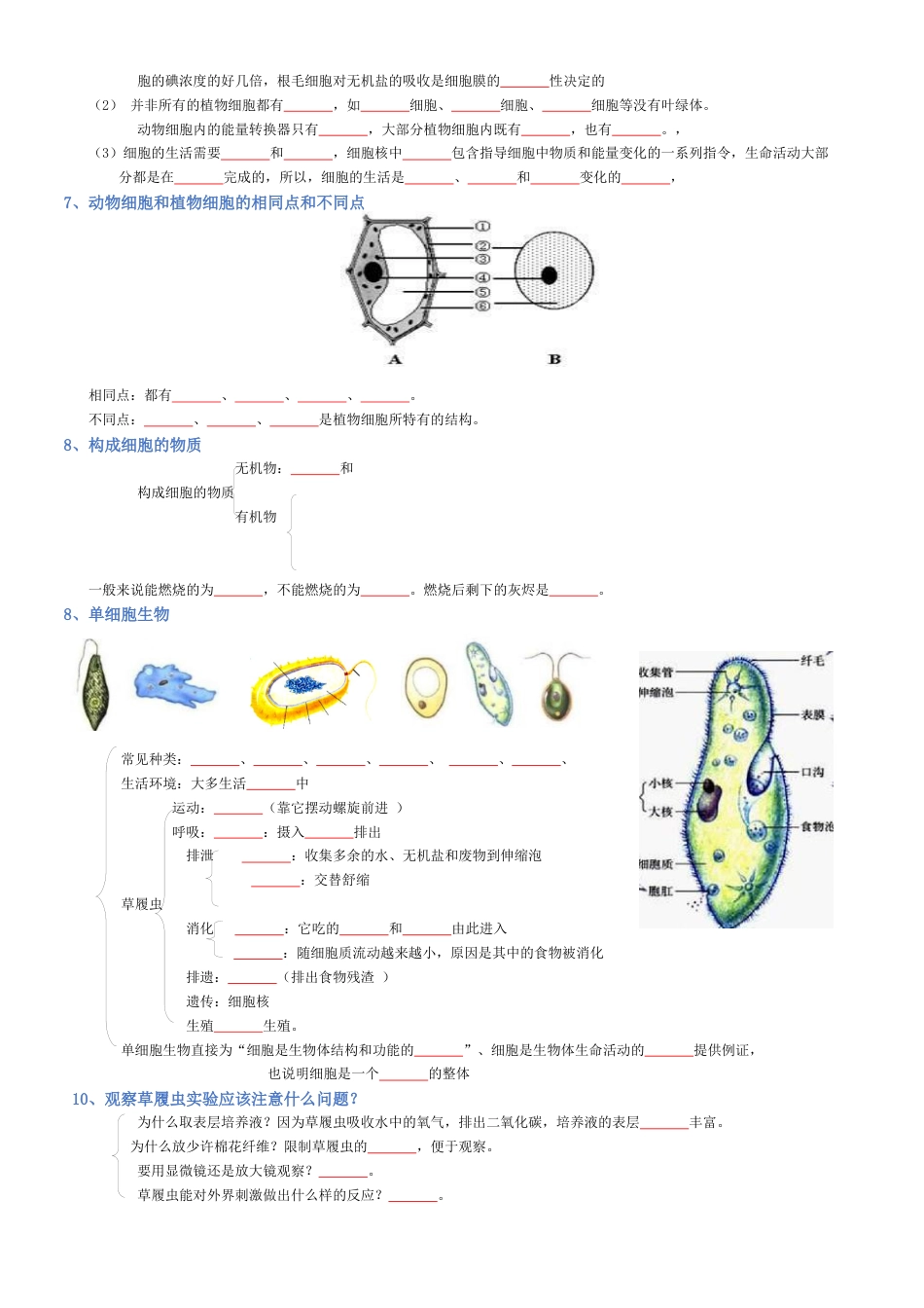 2026年生物会考知识梳理-专题02 生物体的结构层次(填空版).docx_第3页