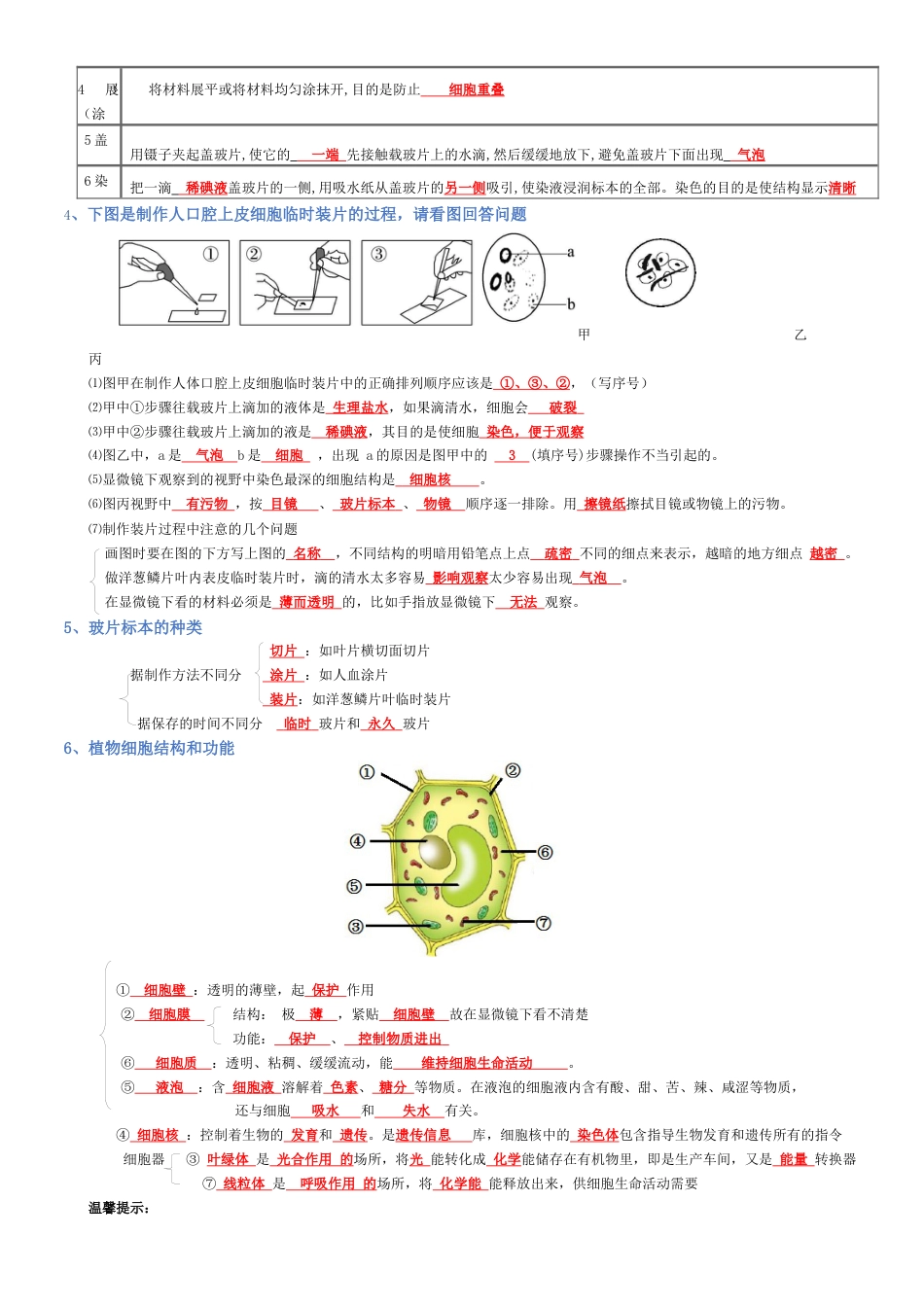 2026年生物会考知识梳理-专题02 生物体的结构层次(背诵版).docx_第2页
