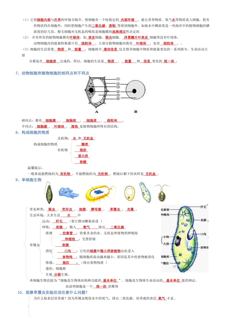 2026年生物会考知识梳理-专题02 生物体的结构层次(背诵版).docx_第3页