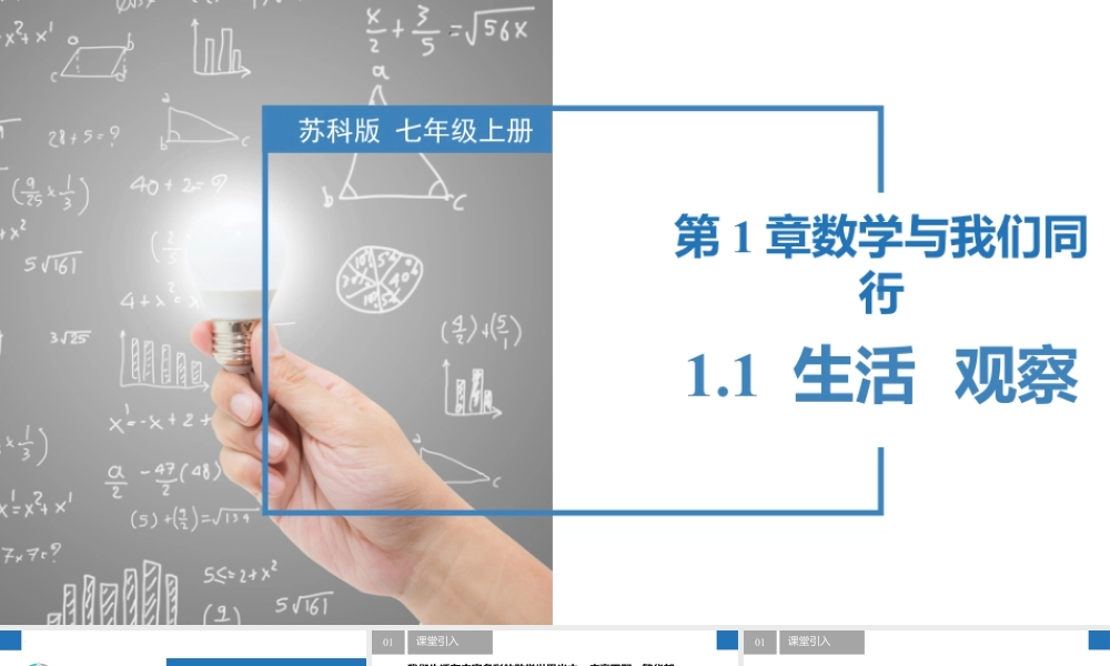 1.1 生活 观察- 2024-2025学年七年级数学上册同步精品课件(苏科版).pptx
