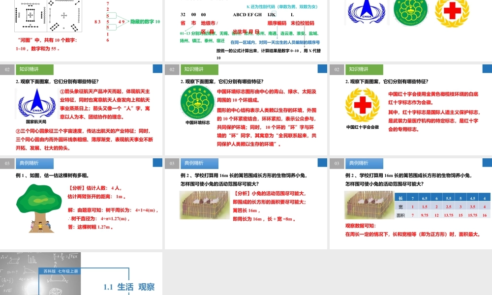 1.1 生活 观察- 2024-2025学年七年级数学上册同步精品课件(苏科版).pptx