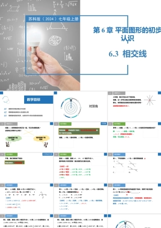 6.3相交线- 2024-2025学年七年级数学上册同步精品课件（苏科版）.pptx