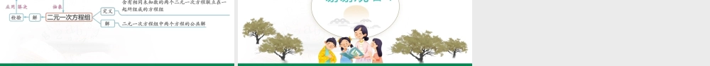 10.2+二元一次方程组的概念+课件苏科版七年级数学下册+.pptx