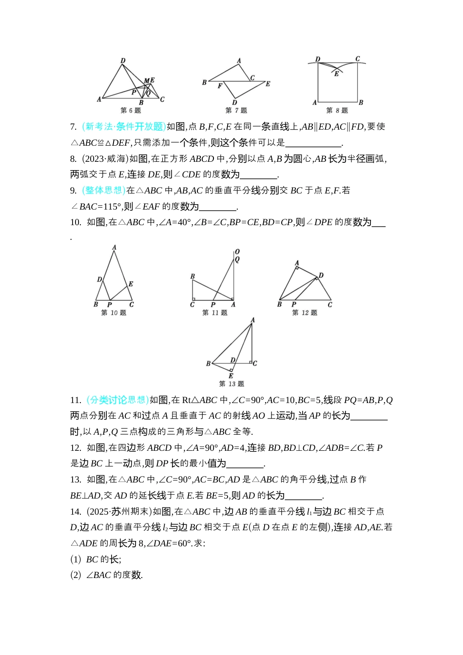 苏科版数学八上-期末复习专题 专题(一) 三 角 形 同步练(含答案) .docx_第2页