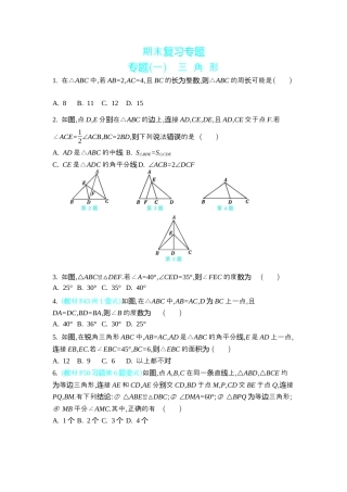 苏科版数学八上-期末复习专题  专题(一)　三 角 形 同步练（含答案） .docx