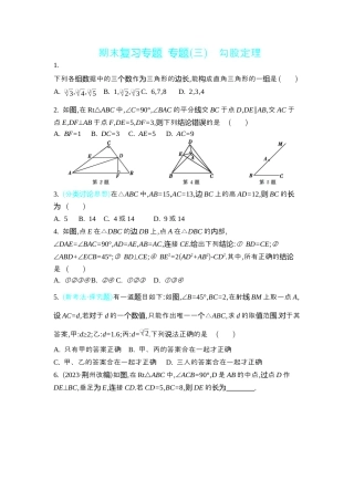 苏科版数学八上-期末复习专题 专题(三) 勾股定理 同步练（含答案） .docx